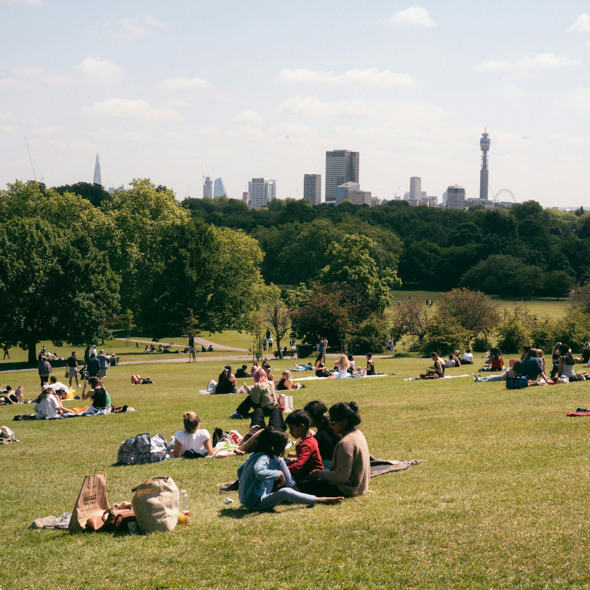 Green Spaces & Pollinator Pockets: City Walking Trails – Bemuse Drinks-shop