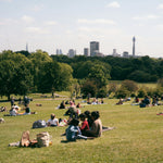 Green Spaces & Pollinator Pockets: City Walking Trails